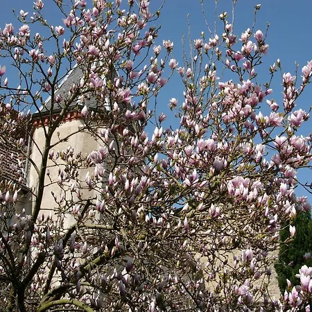 Chateau D'epenoux Bed & Breakfast *
